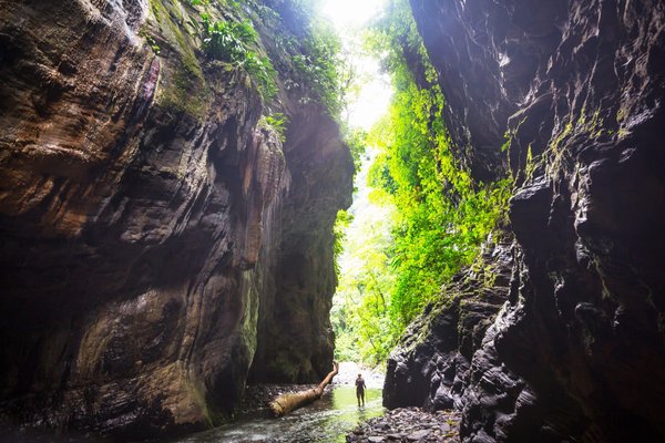 Quels principes de la physique sont mis en jeu dans « Angry Birds »?